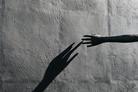 IMG 0004