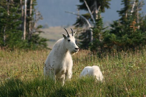 IMG 0421