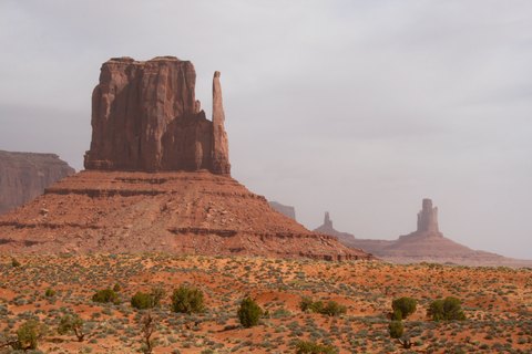 IMG 0182