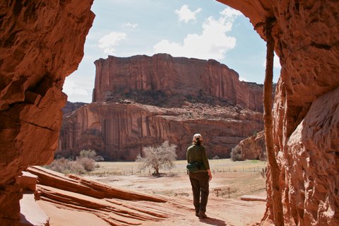 IMG 0014