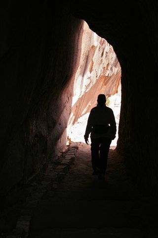 IMG 0301