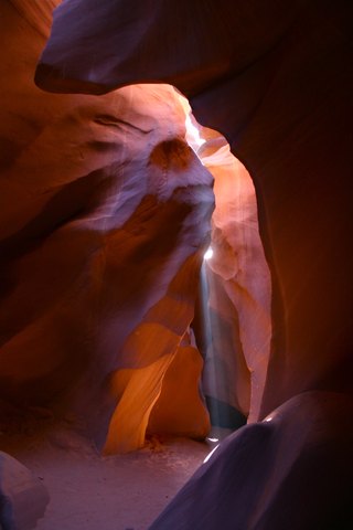 IMG 0482