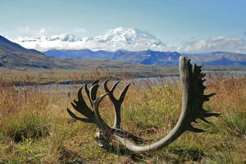 IMG 0569