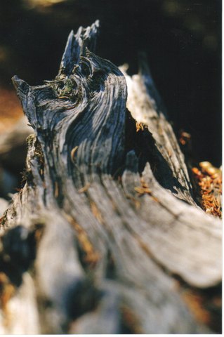 35mm past 072