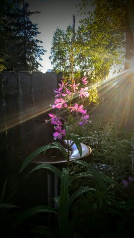 20150714 221132~2