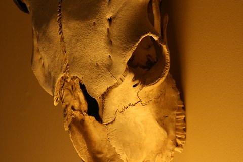 IMG 0032 3
