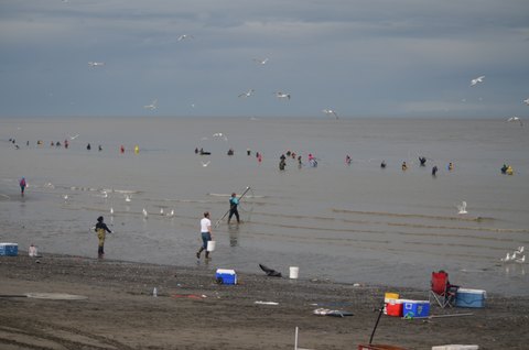 dip net 038