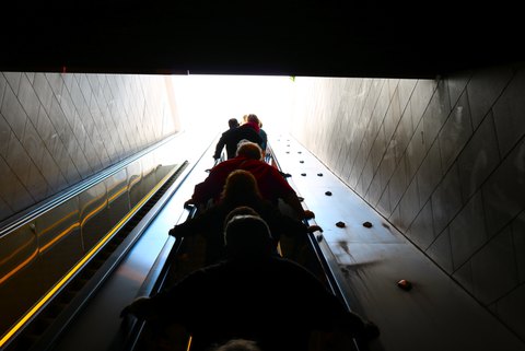 IMG 1834